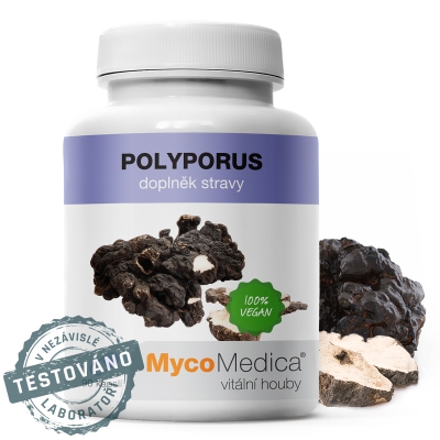 MYCOMEDICA POLYPORUS 90 KAPSLÍ