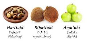TRIPHALA BOOSTER A SYNBIO COMPLEX