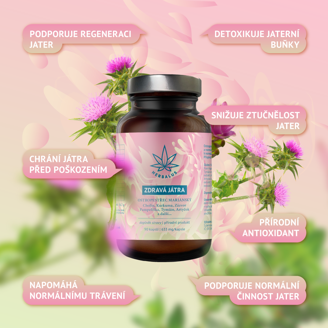 HERBALUS ZDRAVÁ JÁTRA
