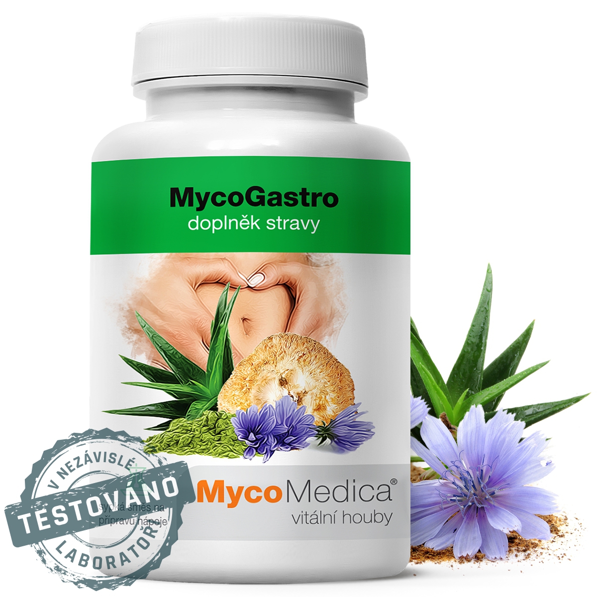MYCOMEDICA MYCOGASTRO prášek 90 g